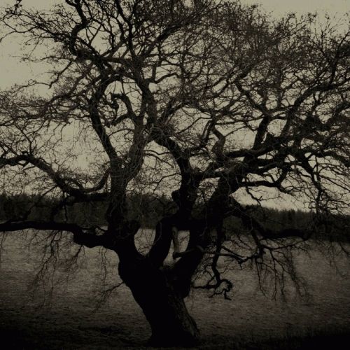 Sorrow Plagues : It Will Never End